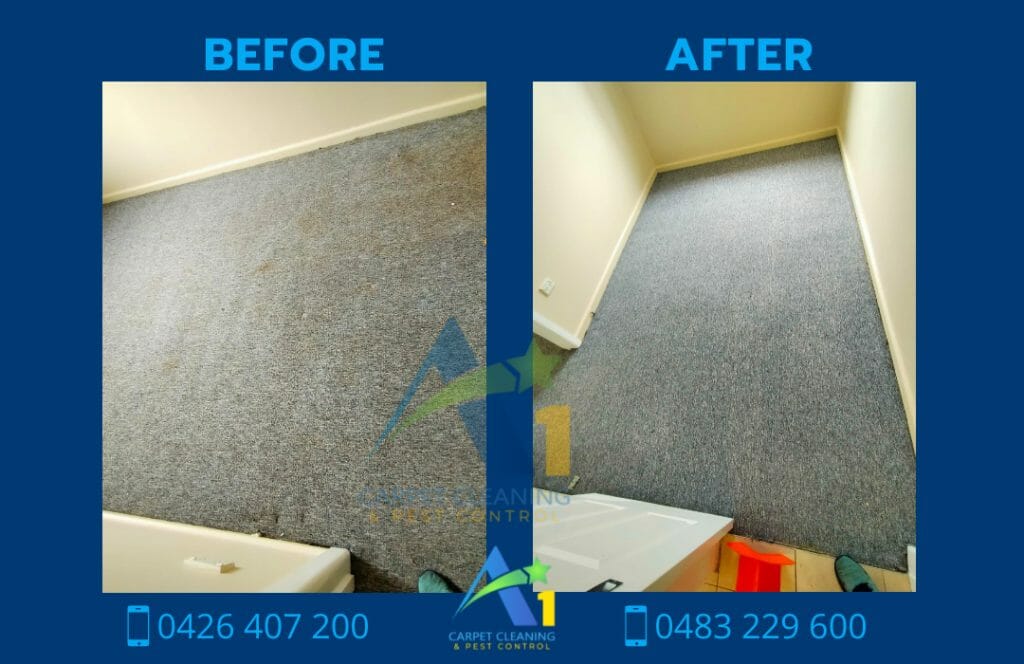 carpet stains removal castle hill