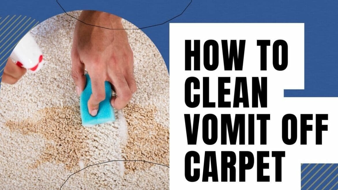 How To Clean Vomit Off Carpet